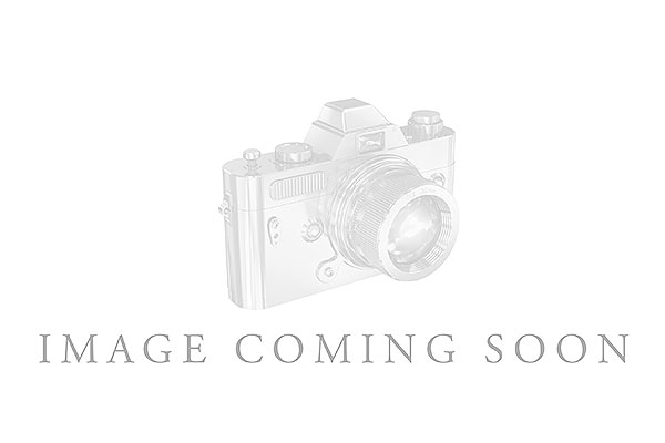 A300-62231: NECK .32 SAPP TW .47 TGW