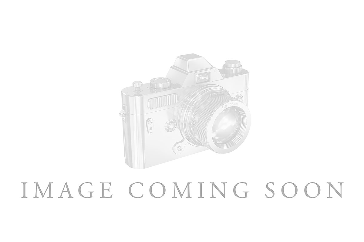 A302-41295: LDS DIA WED RG 1.33 TW (7 PEARS)