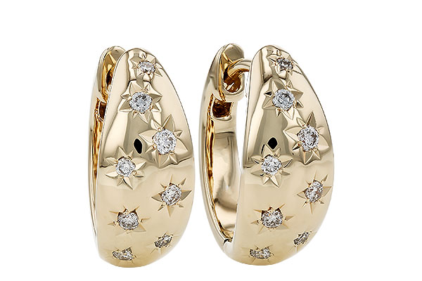 A303-27695: EARRINGS .17 TW