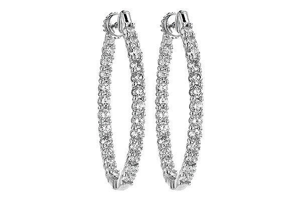 F215-17685: EARR 3.00 TW