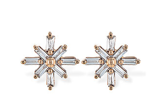 G217-86731: EARR .22 TW BAGUETTES