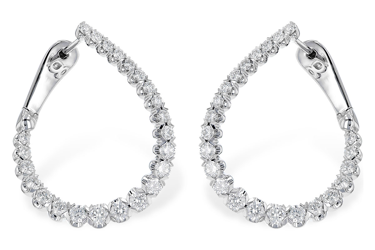 L300-60367: EARR 2.00 TW